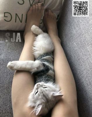 健身教练韩剧_BD国语在线观看