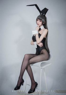 导演的摄影课hl_高清在线视频播放